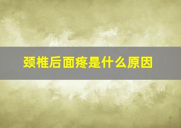 颈椎后面疼是什么原因