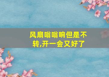 风扇嗡嗡响但是不转,开一会又好了