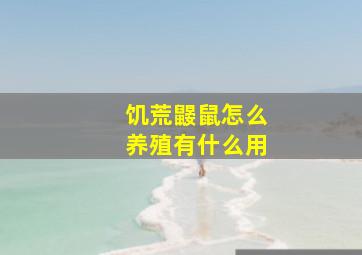 饥荒鼹鼠怎么养殖有什么用