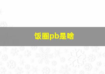 饭圈pb是啥