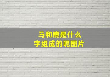 马和鹿是什么字组成的呢图片