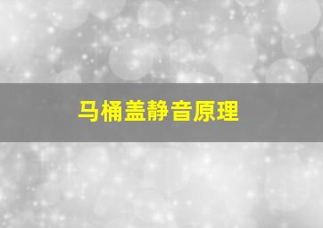 马桶盖静音原理