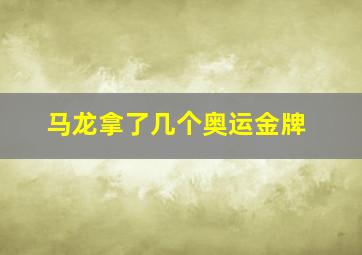 马龙拿了几个奥运金牌