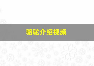 骆驼介绍视频