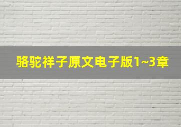 骆驼祥子原文电子版1~3章