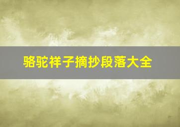 骆驼祥子摘抄段落大全