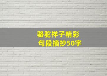 骆驼祥子精彩句段摘抄50字