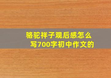 骆驼祥子观后感怎么写700字初中作文的