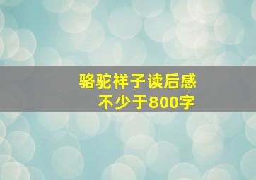 骆驼祥子读后感不少于800字