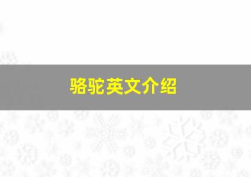 骆驼英文介绍