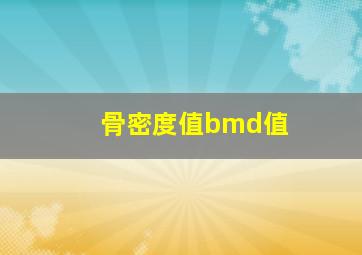 骨密度值bmd值