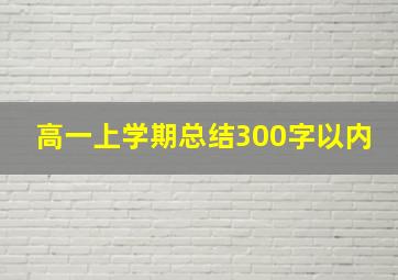 高一上学期总结300字以内