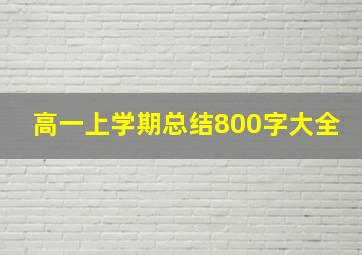 高一上学期总结800字大全