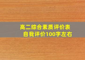 高二综合素质评价表自我评价100字左右