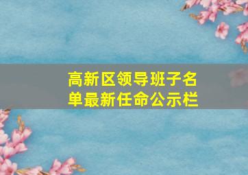 高新区领导班子名单最新任命公示栏