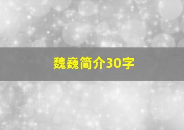 魏巍简介30字