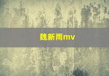 魏新雨mv