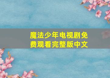 魔法少年电视剧免费观看完整版中文