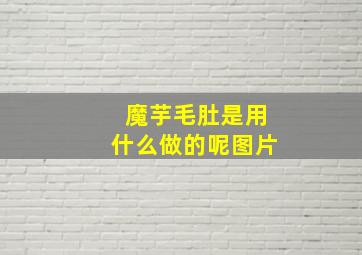 魔芋毛肚是用什么做的呢图片