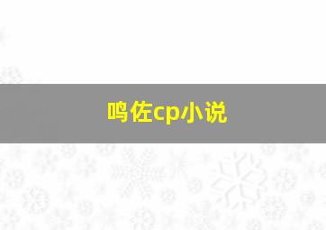 鸣佐cp小说