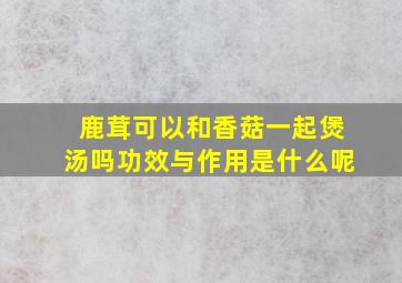 鹿茸可以和香菇一起煲汤吗功效与作用是什么呢