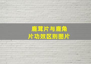 鹿茸片与鹿角片功效区别图片