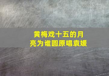 黄梅戏十五的月亮为谁圆原唱袁媛