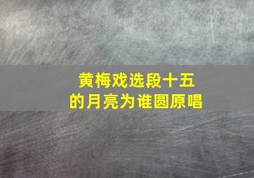 黄梅戏选段十五的月亮为谁圆原唱