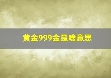 黄金999金是啥意思