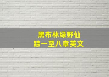 黑布林绿野仙踪一至八章英文