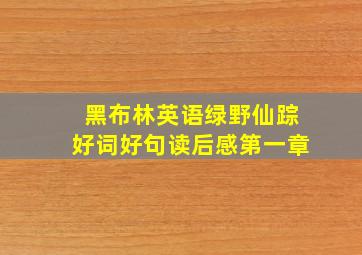 黑布林英语绿野仙踪好词好句读后感第一章