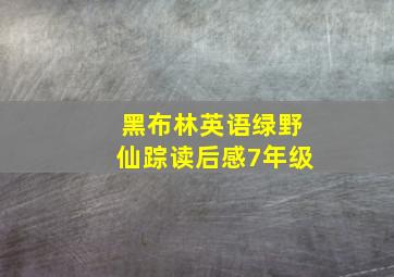 黑布林英语绿野仙踪读后感7年级