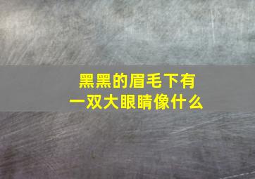 黑黑的眉毛下有一双大眼睛像什么