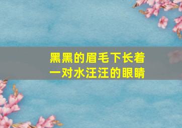 黑黑的眉毛下长着一对水汪汪的眼睛