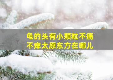 龟的头有小颗粒不痛不痒太原东方在哪儿